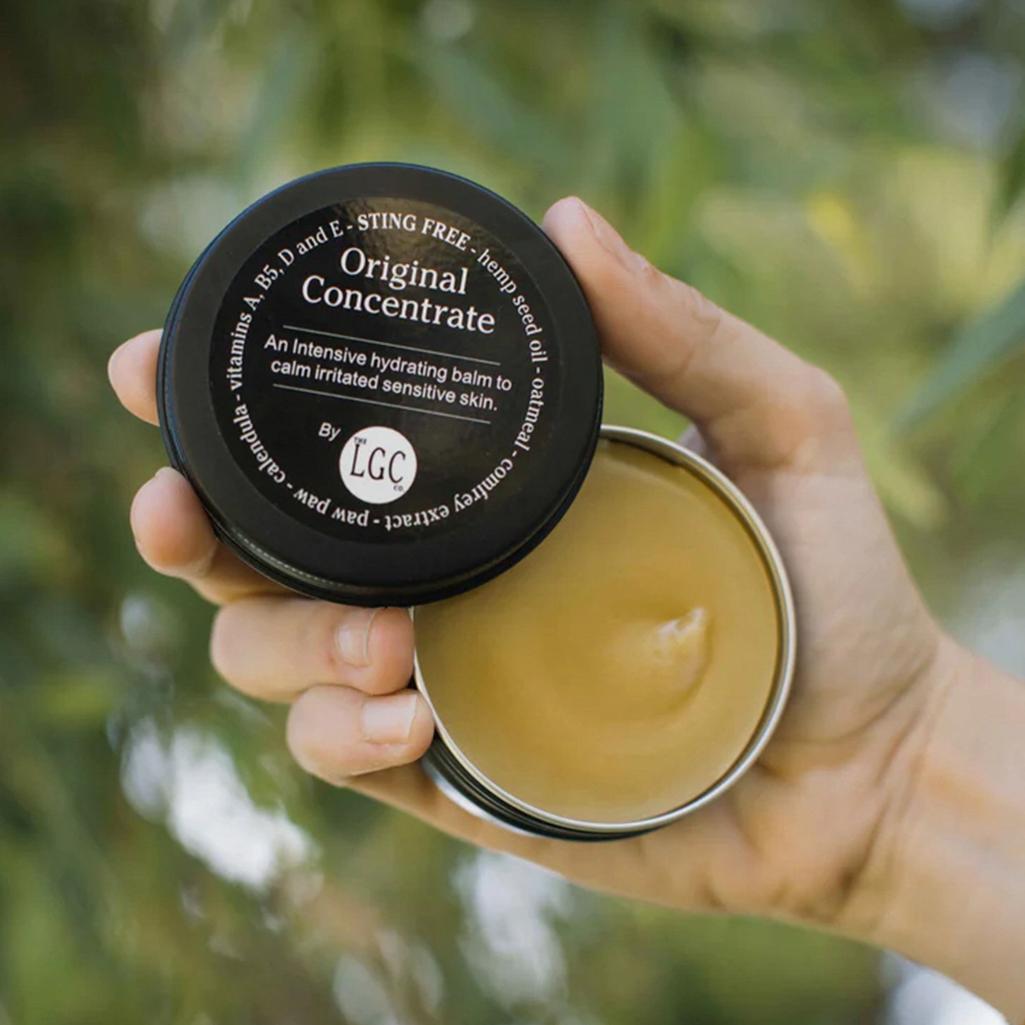 Original Concentrate