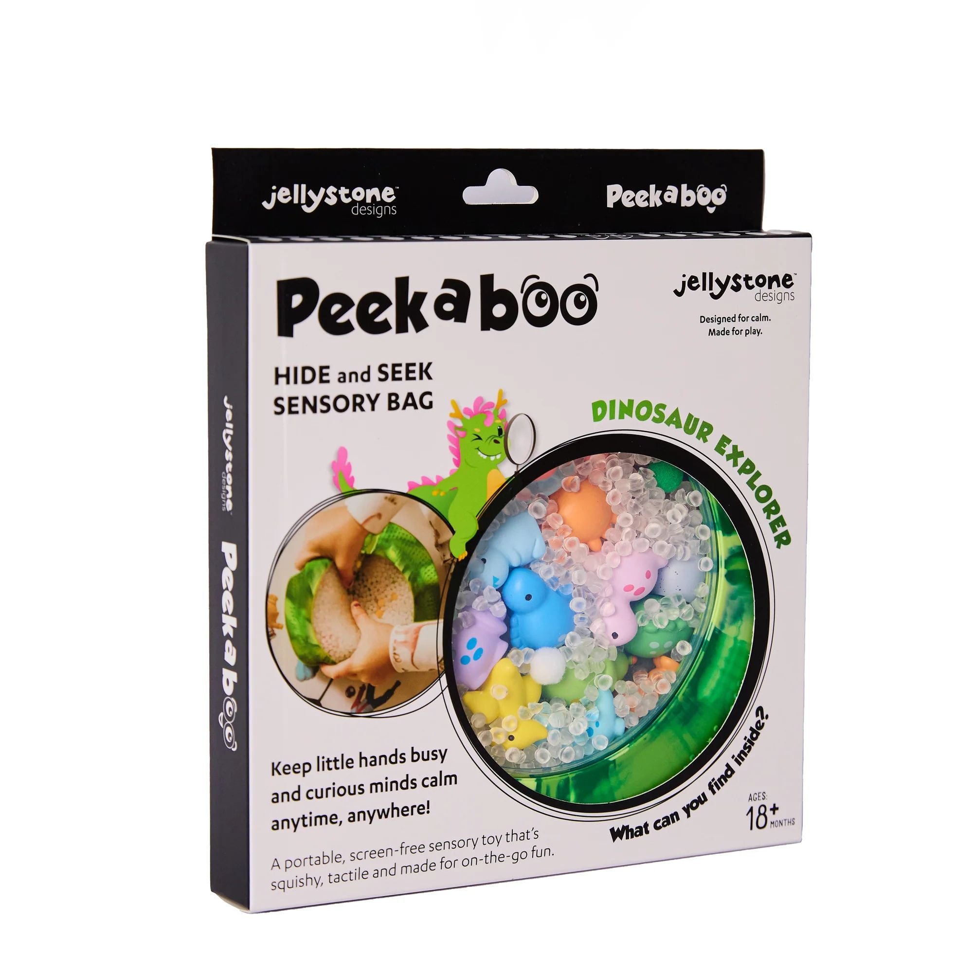 Peekaboo Sensory Bag- Dinosaur Explorer